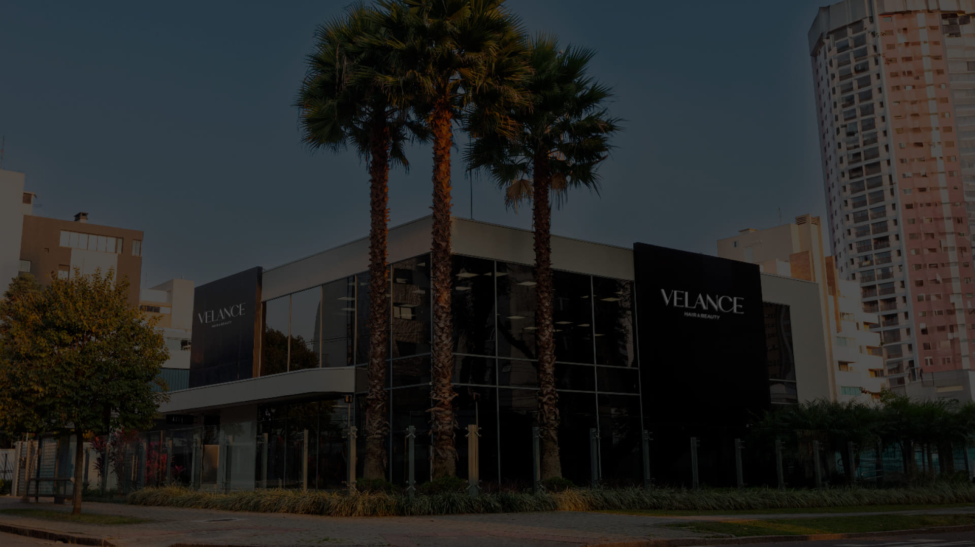 Header Velance